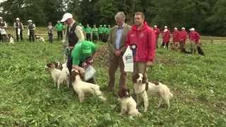 The Home International Team Competition at The CLA Game Fair 2015