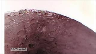 SOMEBODY IS THERE ON THE MOON JUST WATCH THIS