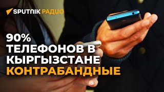 Всем кыргызстанцам нужно будет зарегистрировать телефоны — зачем и когда