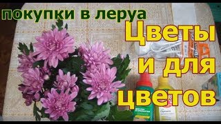 Покупки в леруа мерлен . ЦВЕТЫ ПОДКОРМКИ