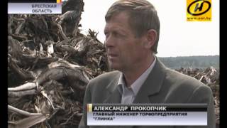 Новый способ «возвращать» долги иностранной фирме открыли на предприятии в Столинском районе