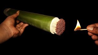 Experiment!! 10.000 Matches VS Bamboo #matchreaction