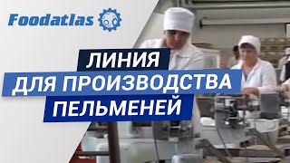 Комплексная линия для производства замороженных полуфабрикатов на пельменных аппаратах серии JGL