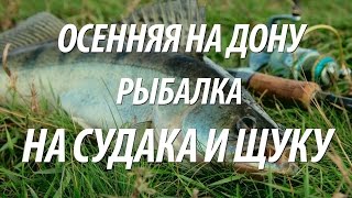 ЛОВЛЯ ЩУКИ И СУДАКА НА СПИННИНГ ДЖИГОМ. РЫБАЛКА НА ДОНУ ОСЕНЬЮ