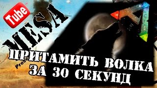 ARK Survival Evolved #11 Приручаем волка за 30 секунд