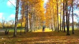 Октябрь, осень, жёлтые листья....October , autumn , yellow leaves ....
