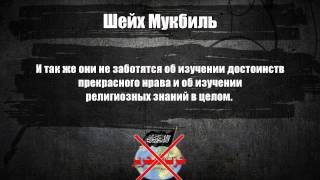 Шейх Мукбиль: Хизб ут-тахрир