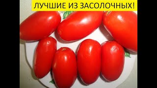 ЛУЧШИЕ ЗАСОЛОЧНЫЕ СОРТА! ТОМАТ ДАМСКИЙ ПАЛЬЧИК - ОДИН ИЗ НИХ.Ольга Чернова