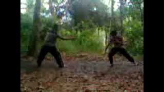 kungfu vs silat (real video)