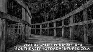 Wildlife Foto Field Trip with Southeast Photo Adventures
