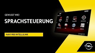 Navi 900 IntelliLink | Sprachsteuerung | Gewusst wie!