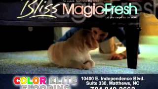 Carpet Charlotte NC | Bliss by Beaulieu - Color Elite Flooring
