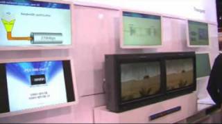 Nevion 2010