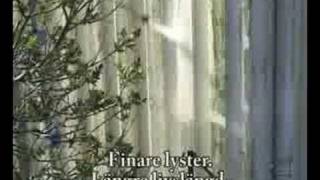Wcw Entreprenad ab , takvård ,taktvätt & Fasadtätt