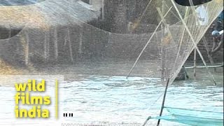 Man prepares to cast fishing net in flood waters - Assam