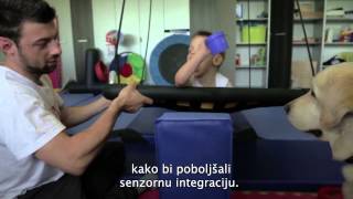 Centar za rehabilitaciju Silver - psi pomagači 2014