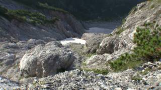 Leoganger Steinberge, Wilderersteig, Birnhorn S-Wand