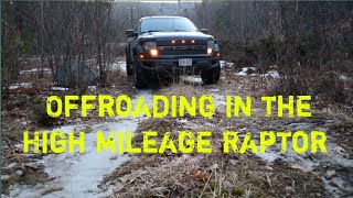 Ford Raptor Offroading
