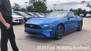 2019 Ford Mustang EcoBoost, For Sale, Oxmoor Ford Lincoln, Louisville KY 40222