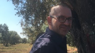 Donato Boscia, - Ipsp-Cnr spiega lo Xylella quick tolerance test - prima parte