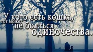 Афоризмы