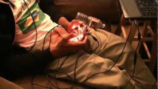 Days In the Life