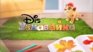 Disney Junior on Disney Channel Russia commercial break bumper (The Lion Guard, fall 2017)