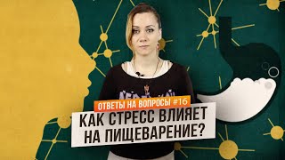 Как стресс влияет на пищеварение? (Ответы на Вопросы)