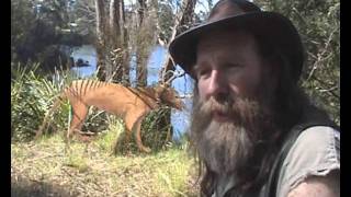 Thylacine Still Alive?