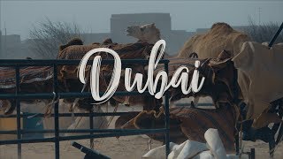 Insta360 - Dubai Adventure