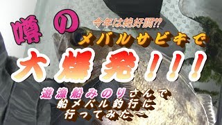遊漁船　みのりさんでアングルスタッフがメバルサビキに挑戦！
