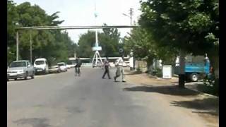 Karakul