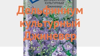 Дельфиниум культурная Джиневер (dzhinever) ? Джиневер обзор: как сажать, семена дельфиниума Джиневер