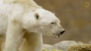 Wake Up! This is the Final Call for Climate! - Global Education Week 2019