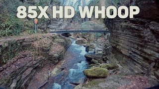 85X HD Whoop !