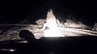Pajero mini playing in snow - BFGoodrich ‎All-Terrain T/A (GEORGIA)