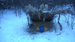 Подкормка фазана / 2 часть