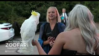 Zoofari 2021 Thank You - Cincinnati Zoo