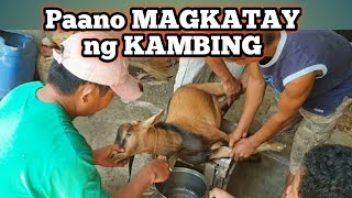 How to Butcher A Goat, PAANO MAGKATAY NG KAMBING, Buhay Probinsya