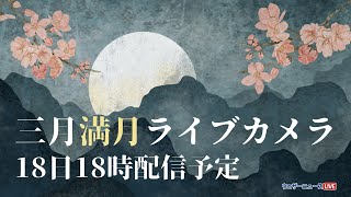 3月の満月ライブカメラ 3月18日18時配信予定（月が見えてくるのは18時過ぎ）／Worm Moon