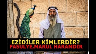 TAVUS KUŞUNU KUTSAL KABUL EDEN ,EZİDİLER KİMLERDİR?