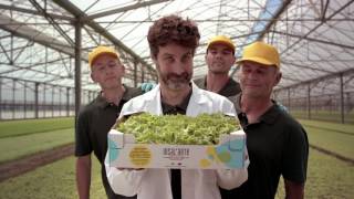 Insal'Arte - SPOT 60'' - Passione Sotto Controllo