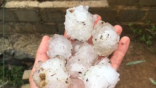 Cận Cảnh Mưa Đá Ngày Mùng 1 Tết [ Dã Thực]