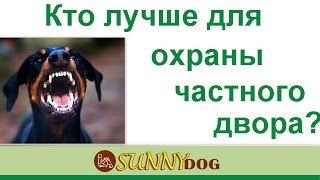 Какая порода лучше для охраны двора ротвейлер, овчарка, среднеазитская овчарка
