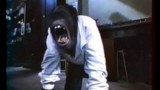 Link - Richard Franklin - 1986