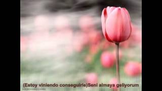 ispanyolca (BeNdEmİr)9 güzel cümle