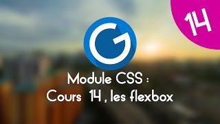 Formation IMM - Module CSS : Cours tuto 14 , les flexbox