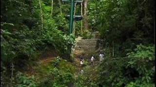 RAIN FOREST AERIAL TRAMS COSTA RICA PACIFICO