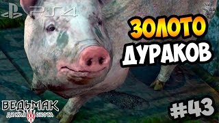 НОВЫЙ DLC КВЕСТ "ЗОЛОТО ДУРАКОВ" ► Прохождение "Ведьмак 3: Дикая Охота" #43