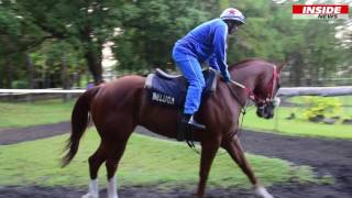 Hippisme : Ambiance au centre Guy Desmarais